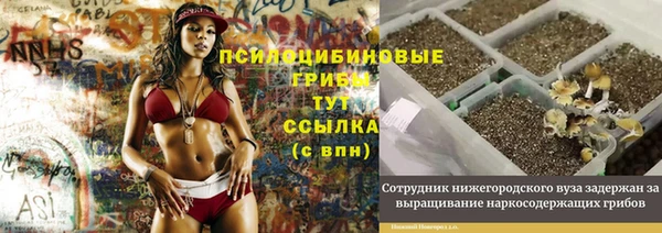 синтетический гашиш Алексин