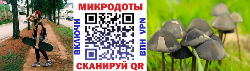 Галлюциногенные грибы GOLDEN TEACHER Киселёвск